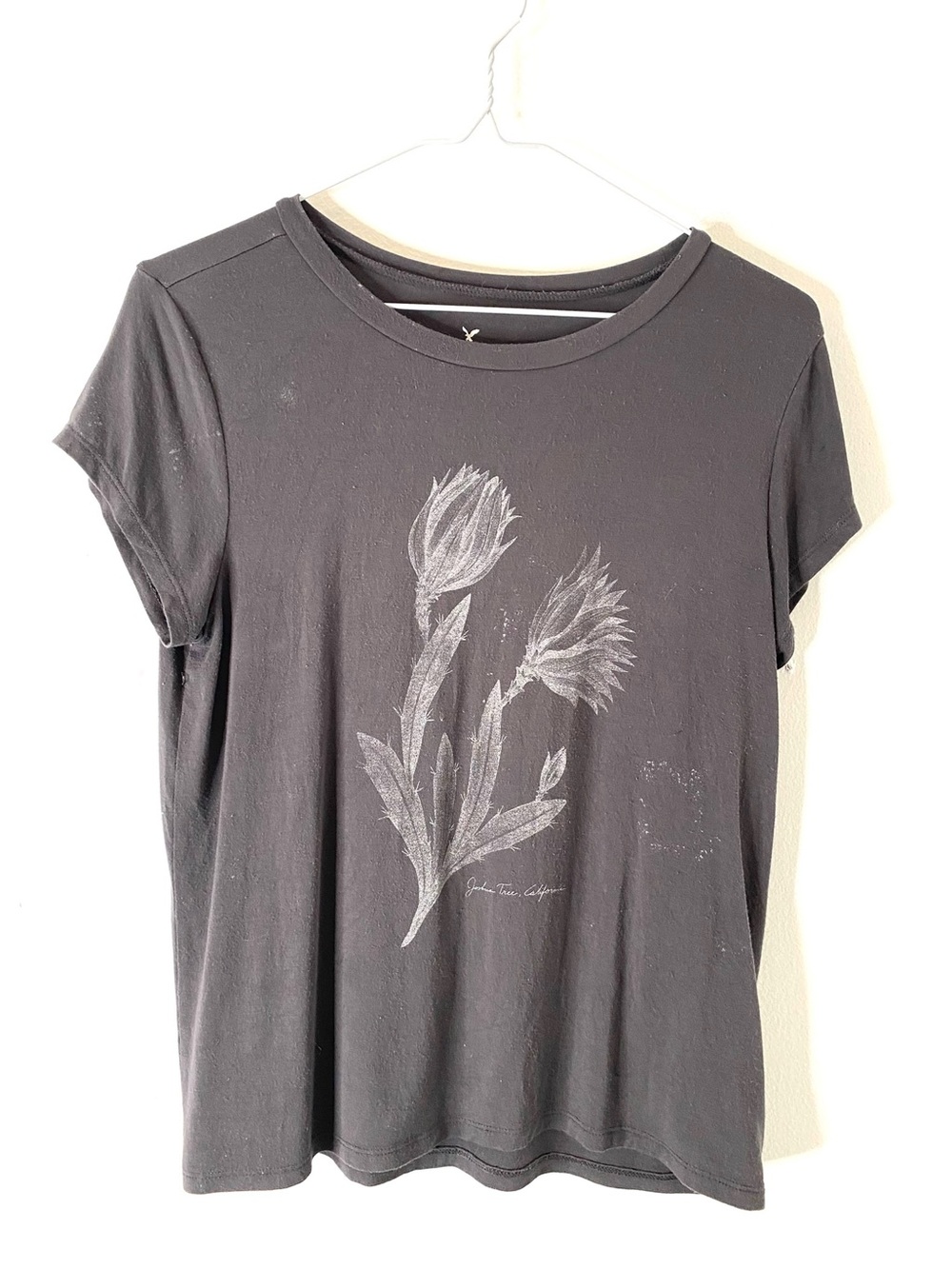 American Eagle Soft Sexy Grey Joshua Tree Distressed Graphic Tee